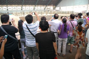 Tourists take photos of the Terracotta Army in Xi'an, China with their smartphones. The rise of social networking in China means millions of photos, blogs and messages are shared daily.