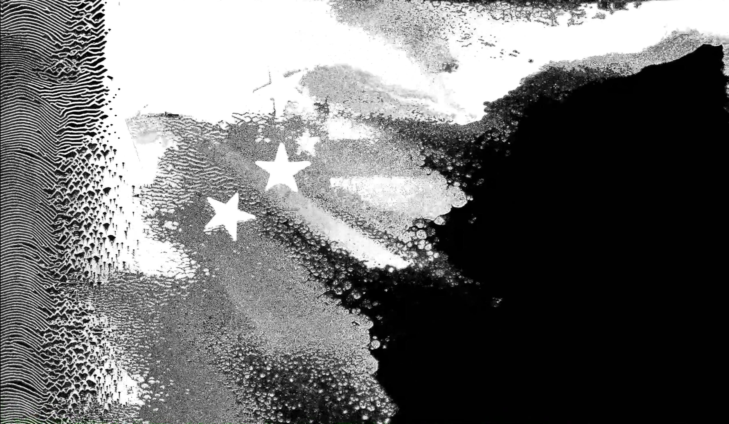 Distorted National Flags, Black and White