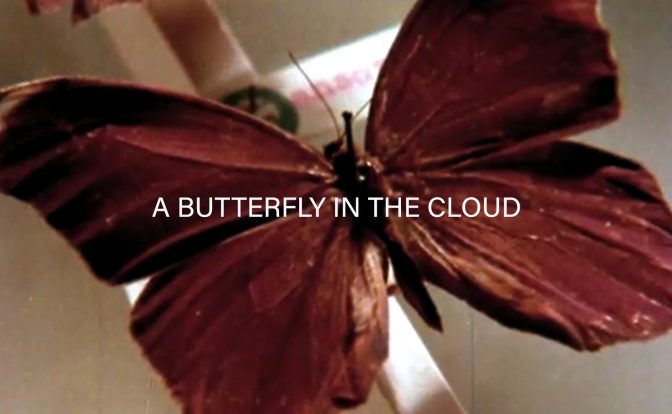 Feature image for Eryk Salvaggio's A Butterfly in the Cloud